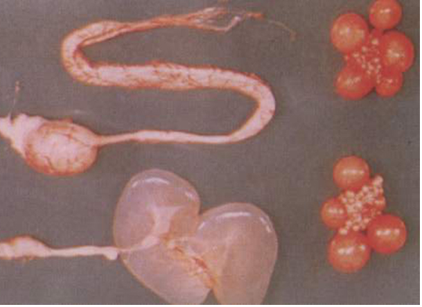 long8-Áú8(¹ú¼Ê)Ψһ¹Ù·½ÍøÕ¾